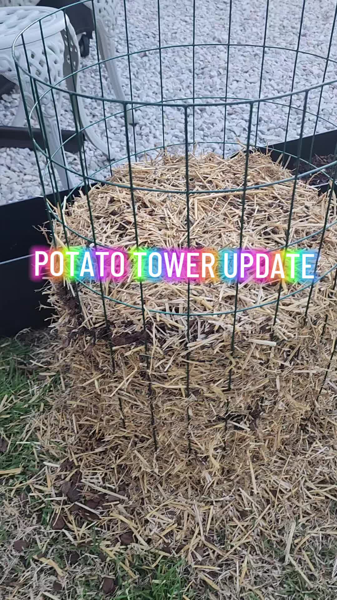 @Lana -🐕&zwj;🦺Dog Mom & Gardener