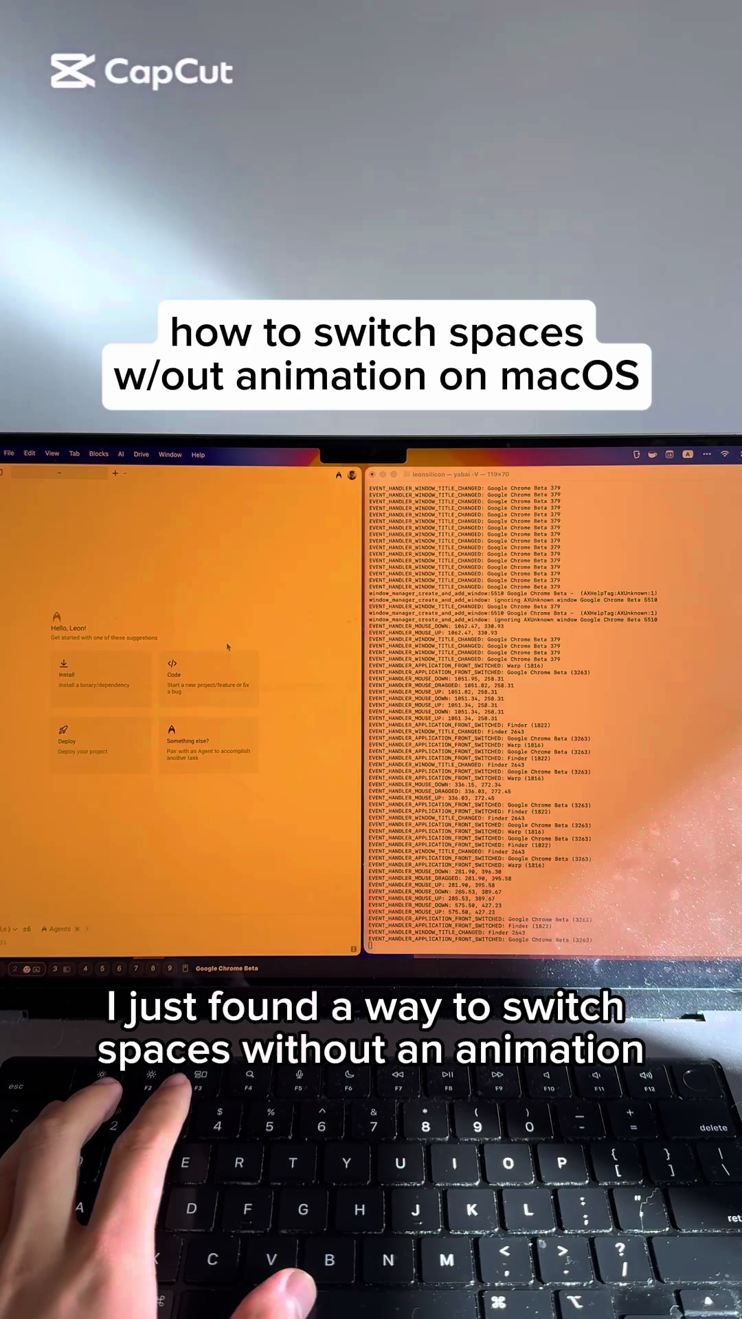 @leonsilicon