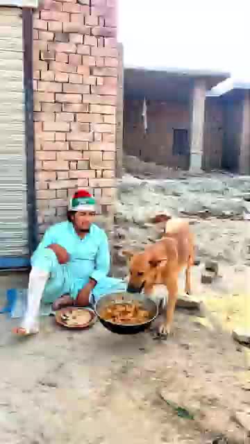 @Team Saifulla