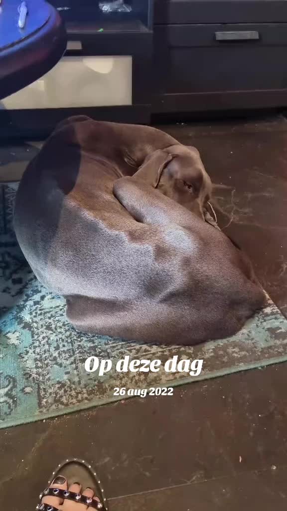 @ariana_queen_of_darkness