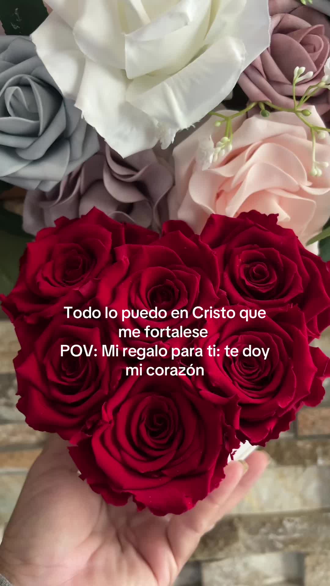 @Maria succulents 🕊️🐚