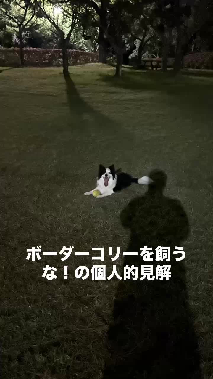 @我が家の日常