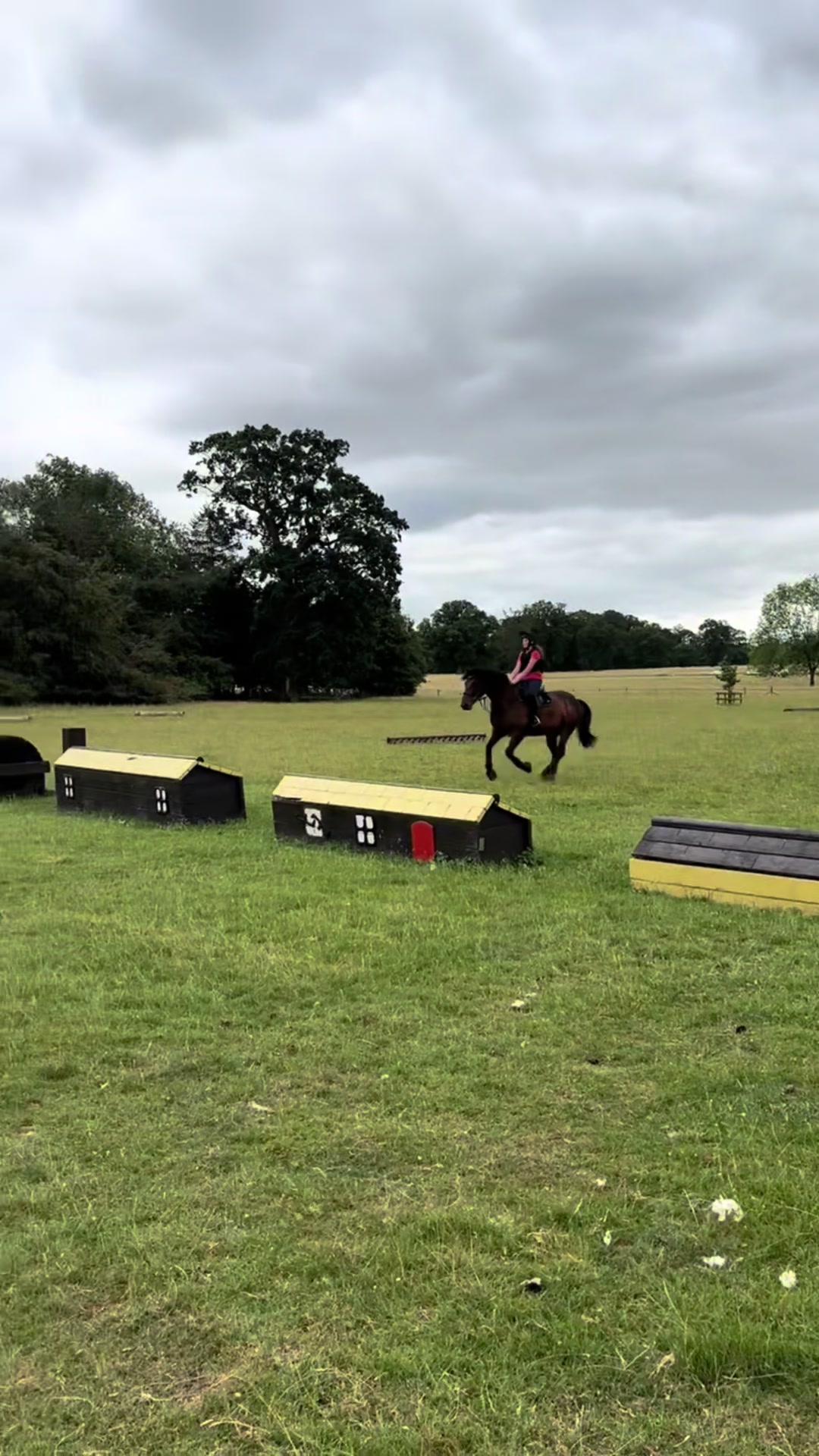 @MG.eq🇬🇧🐴