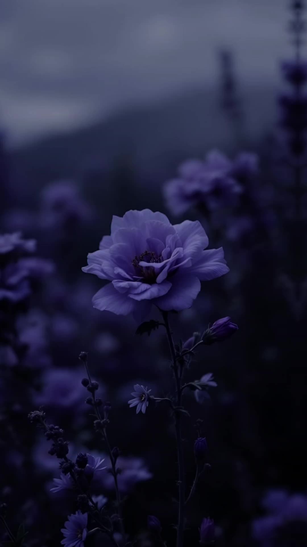 @unknown