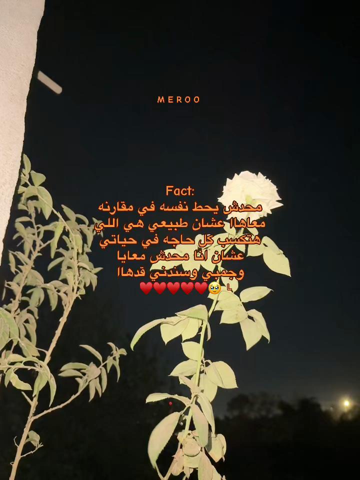 @༒آمِــيـــّر _𓆩ᗩᗰIᖇ𓆪🤎