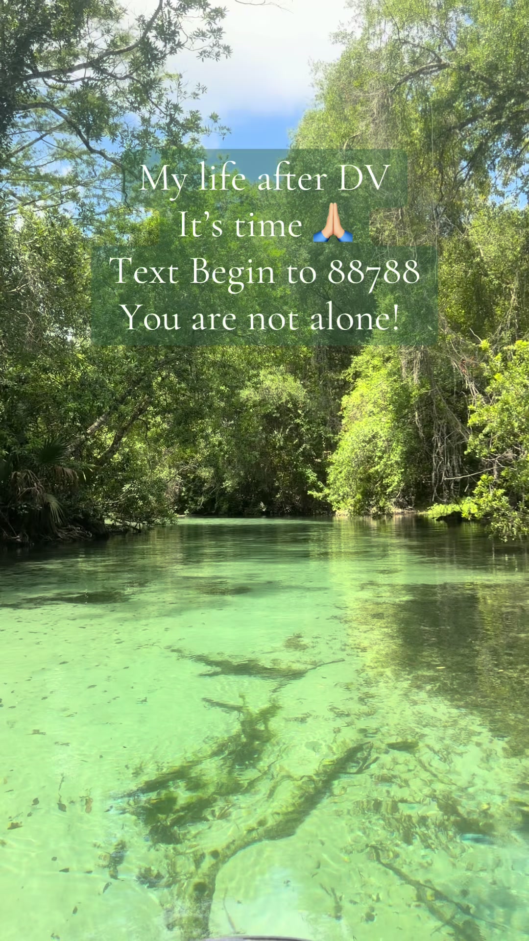 @willowinbloomwellness