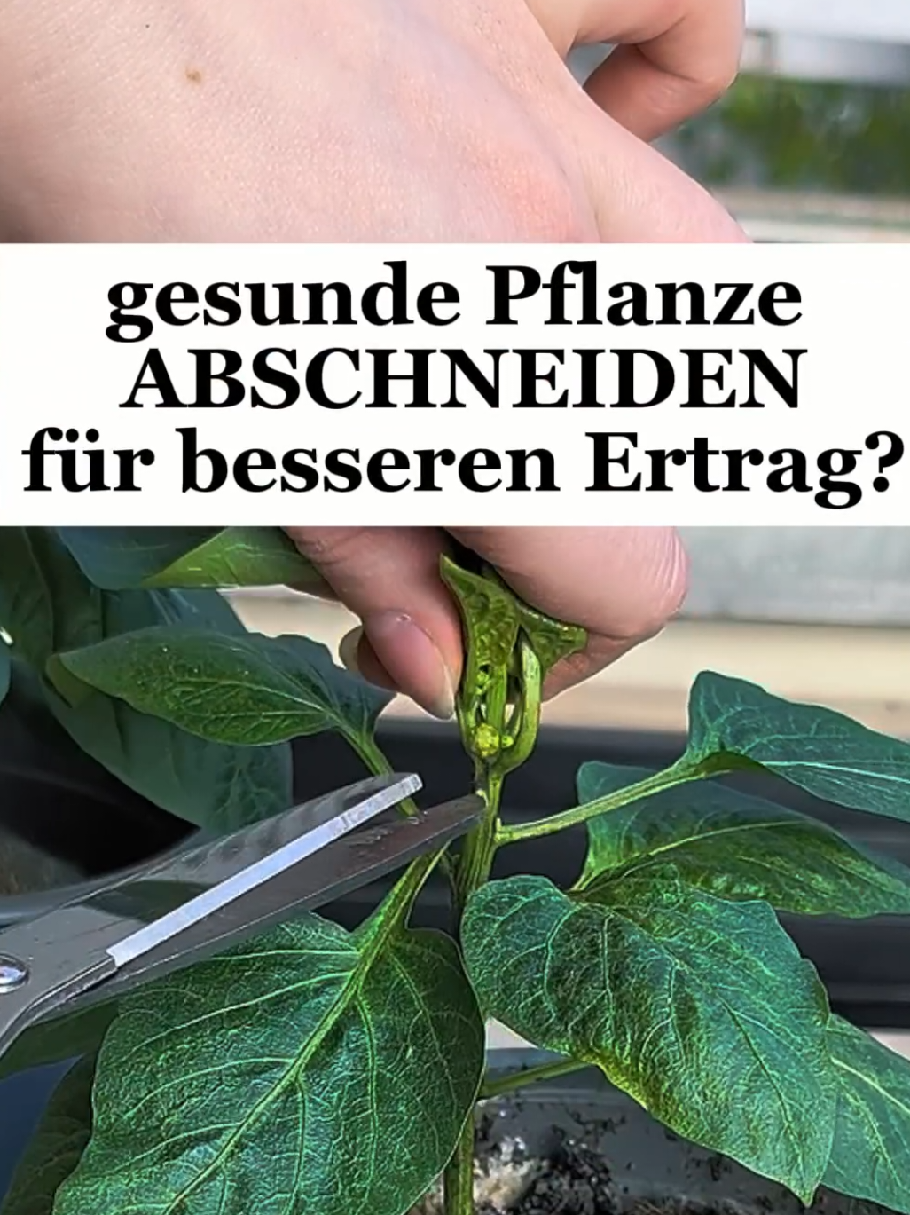 @ErnteExperte