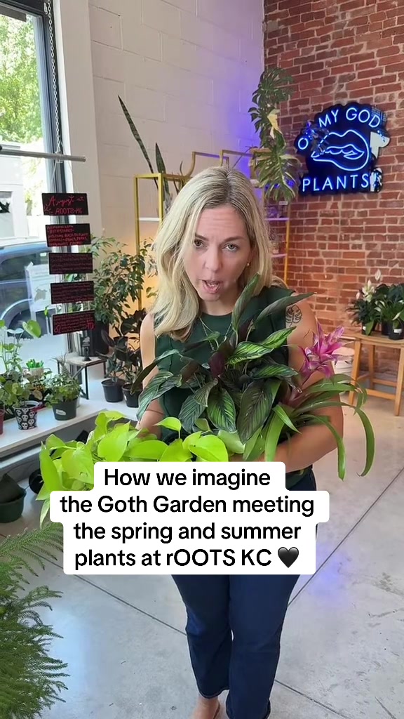 @Rootskc