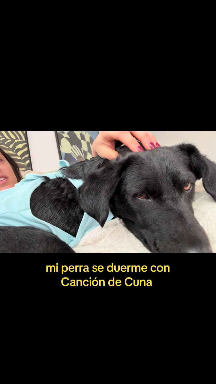 @Juli Suffia
