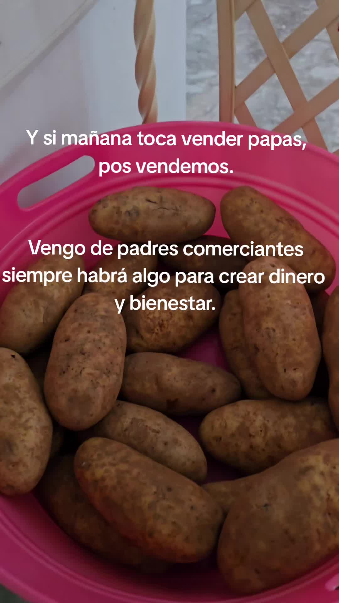 @Paoola V Maldonado