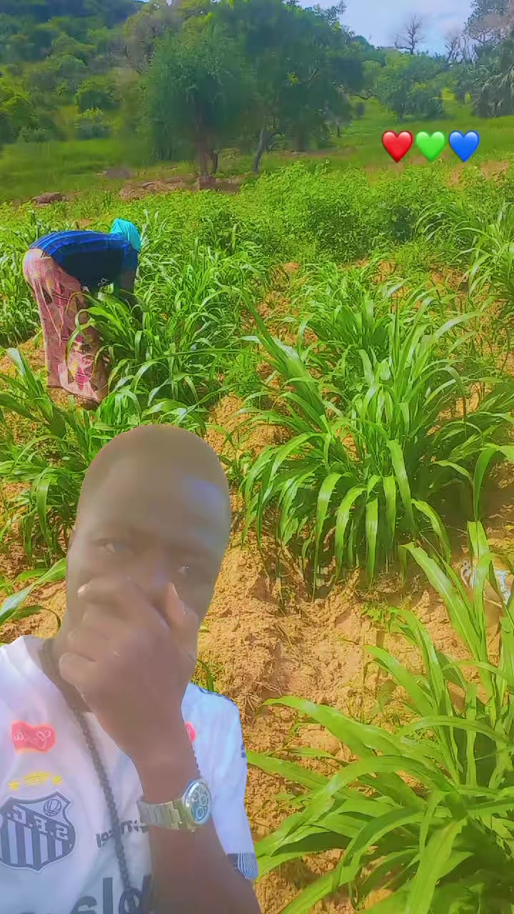 @YAMA. DAMANGO
