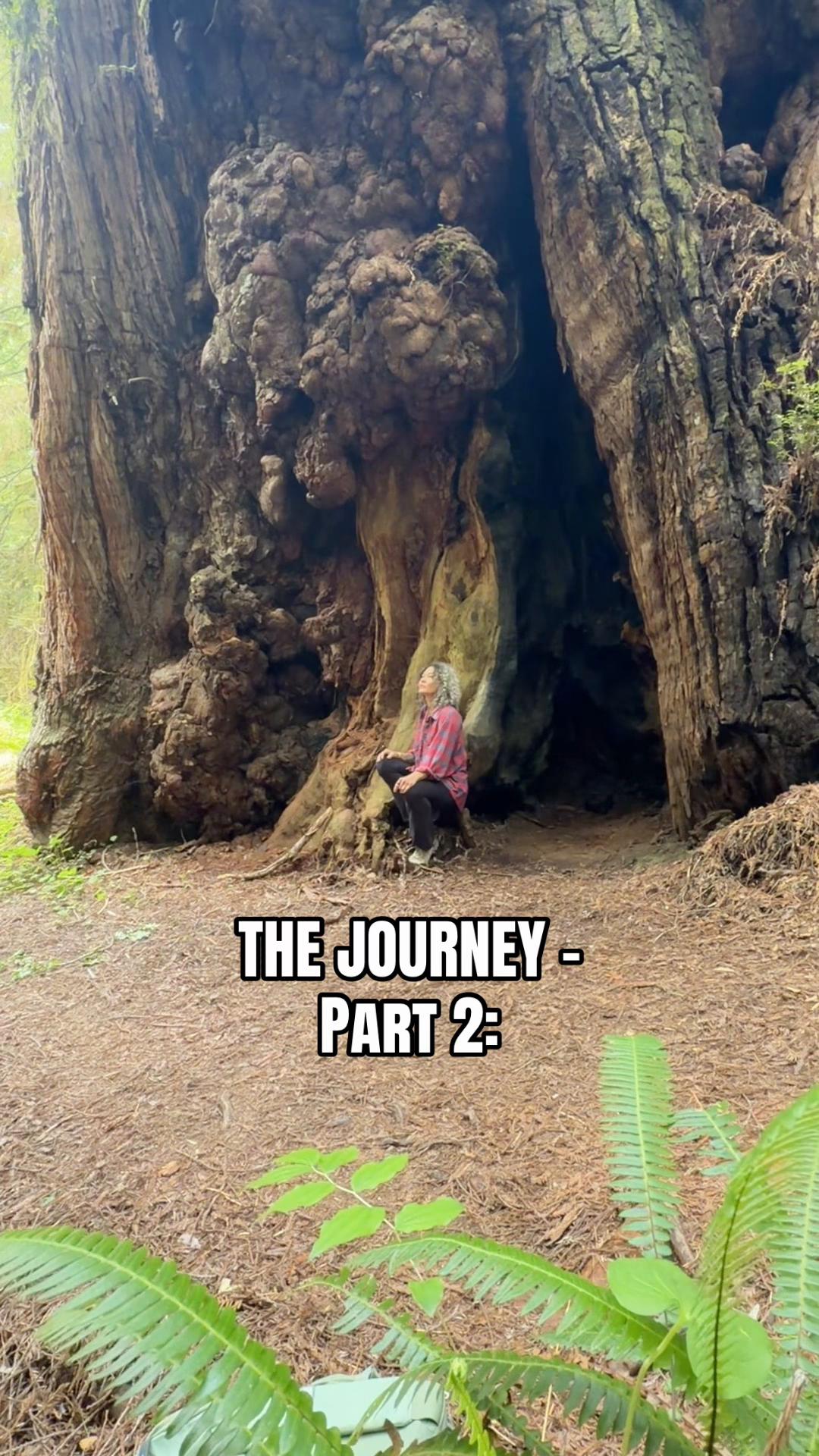 @Alchemizewithjoy