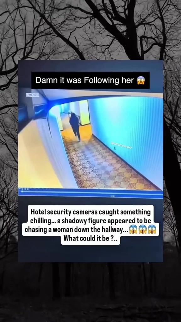 @SCARYVIDEOS