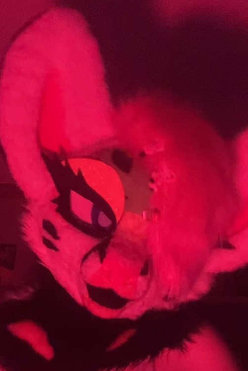 @Liger~Liger🐾🍉