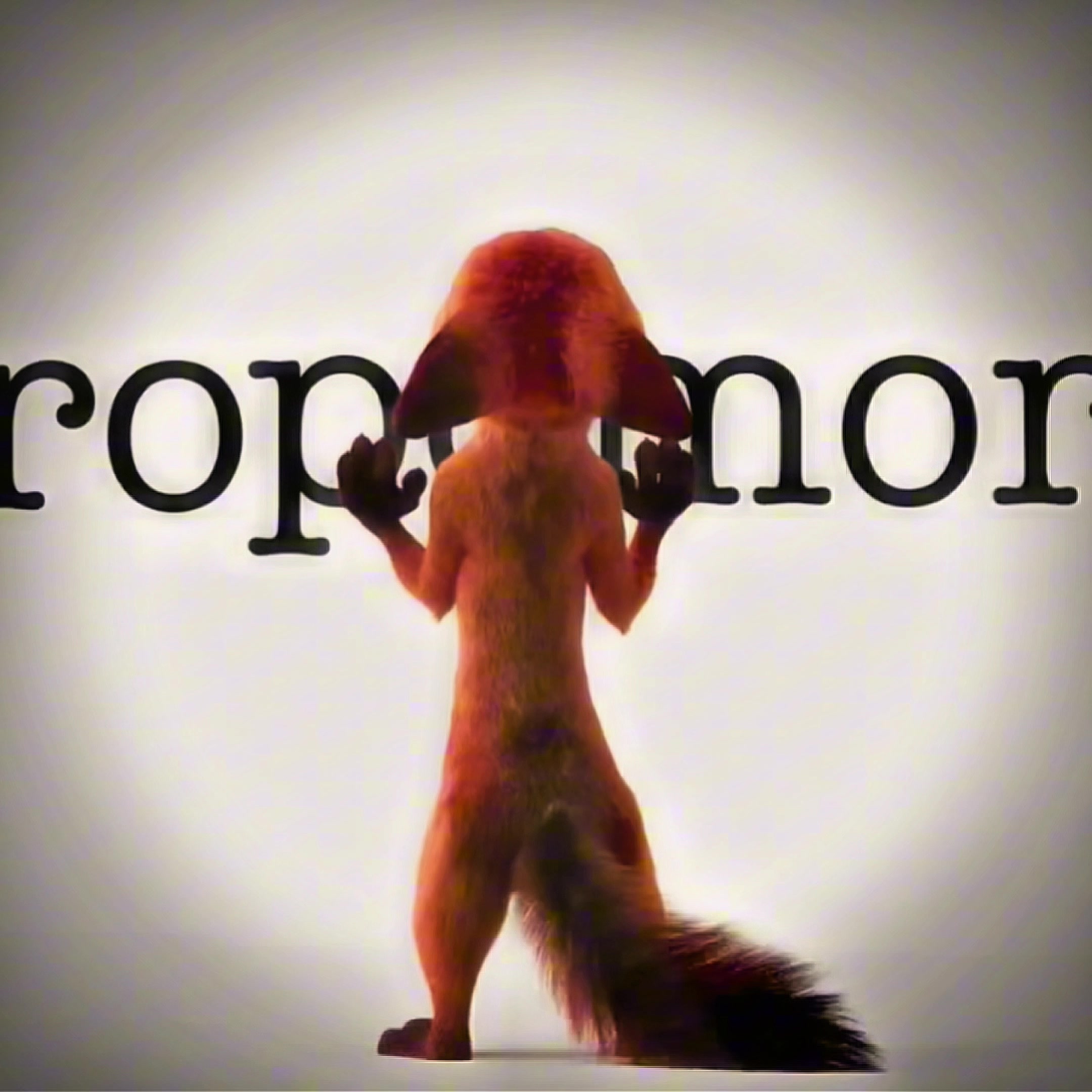 @𝑩 𝑶 𝑶 𝒅 𝑵 𝒀 🦊