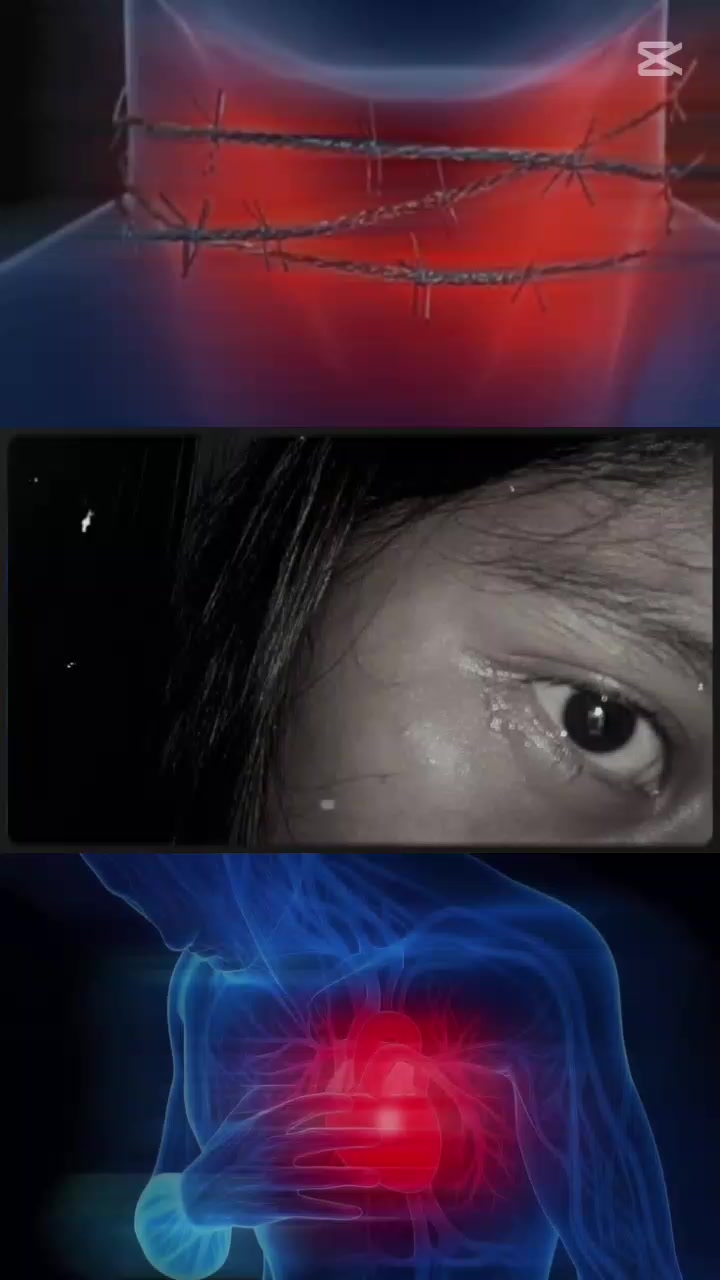 @Yordaly ๐Y/L๐