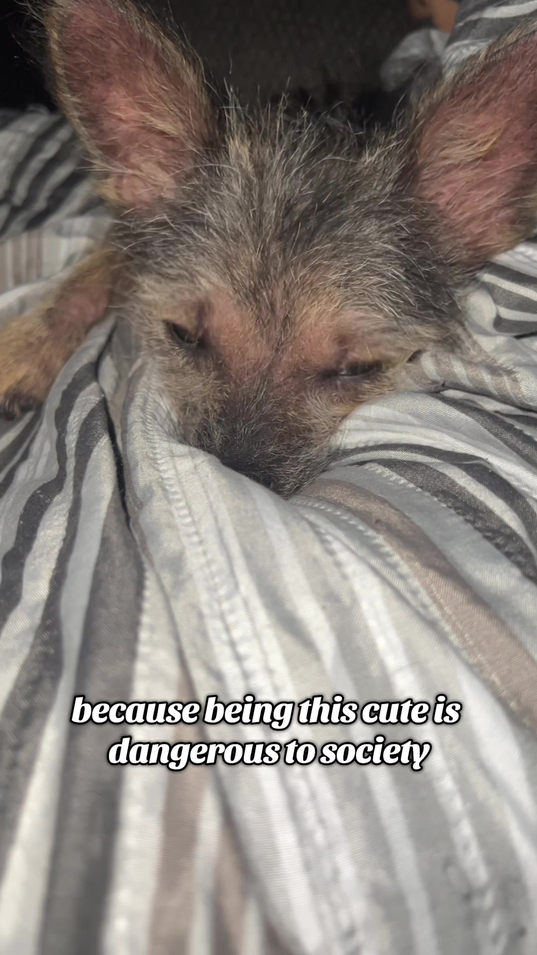 @Ozzy ◡̈
