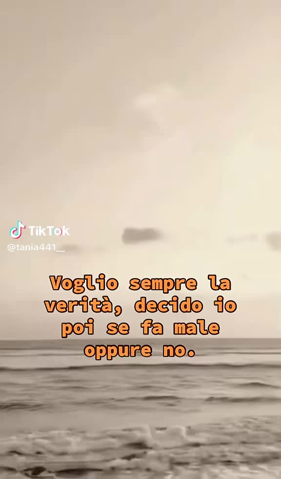 @CAMY