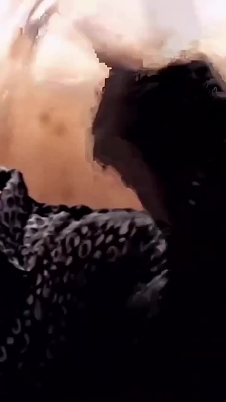 @Contentfromculture