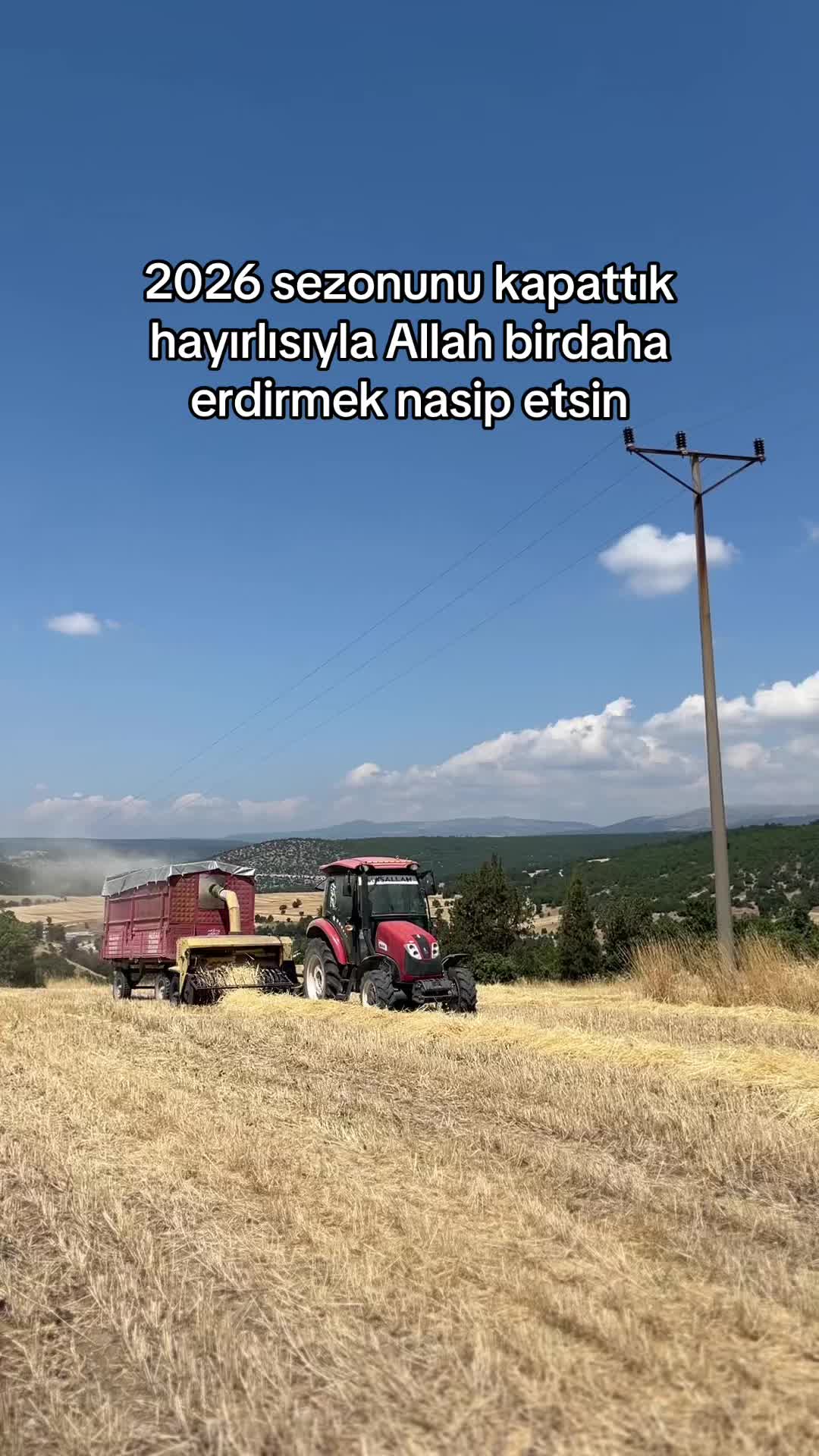 @ÅABAN KOLTKAšļø