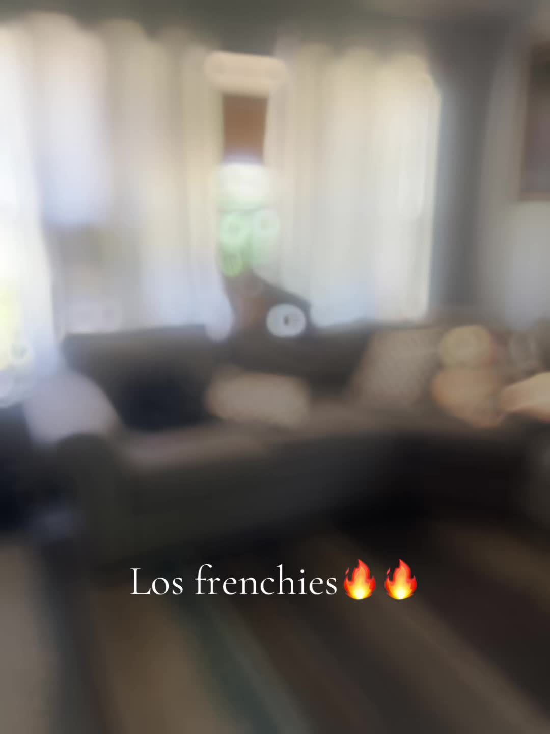 @Mexicangirl🇲🇽