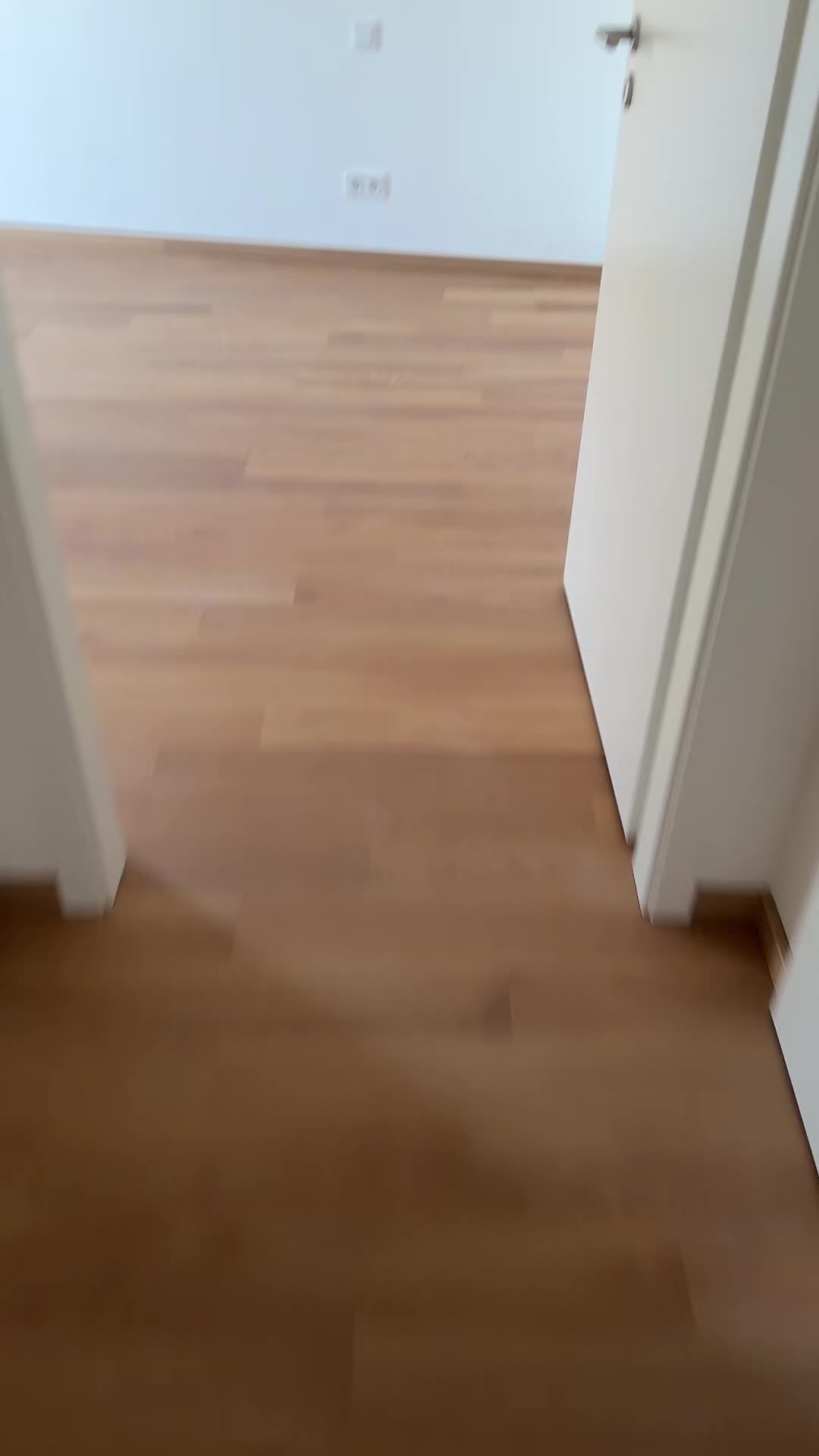 @denise.blue21