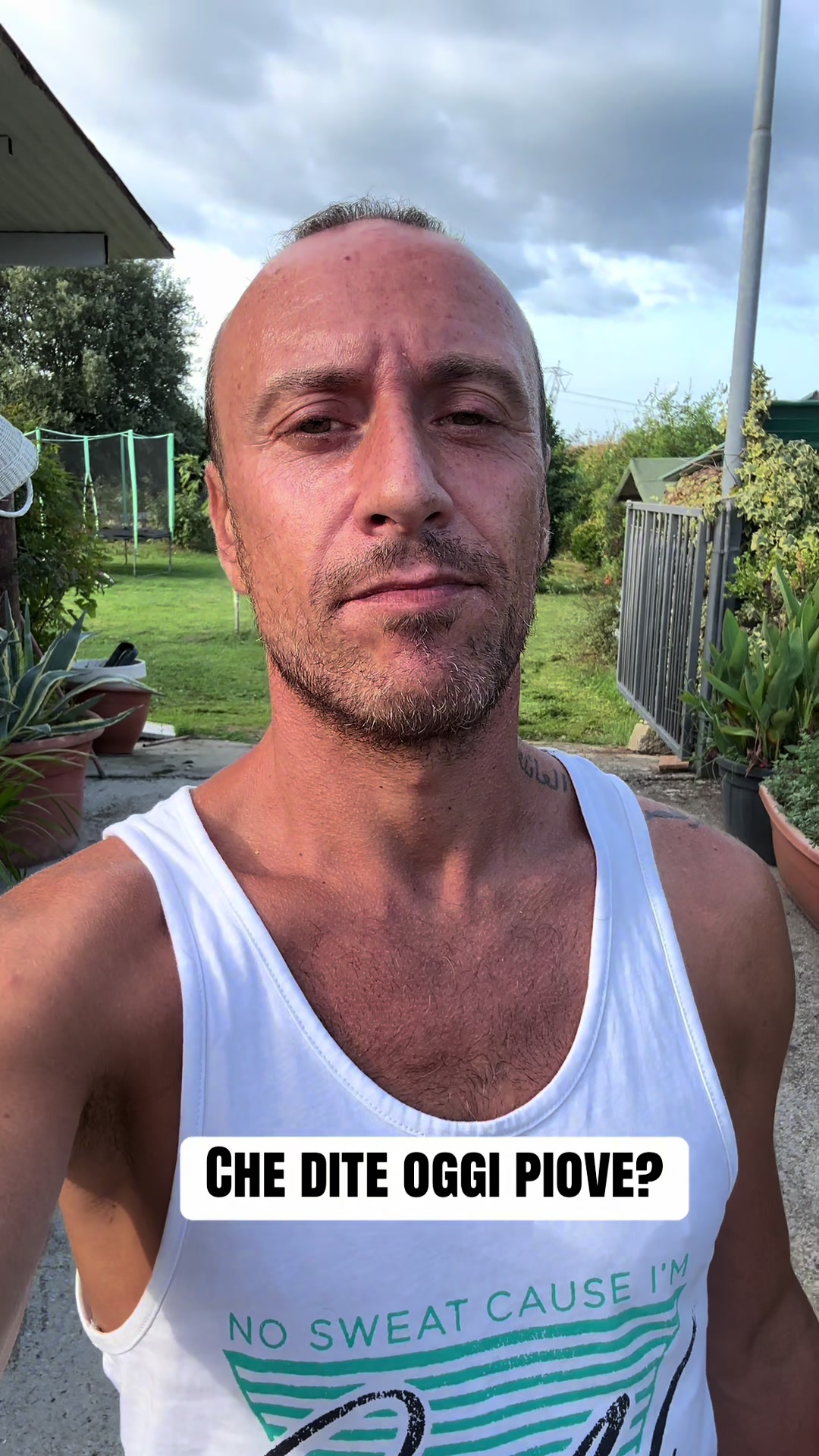 @Fabio Raspanti