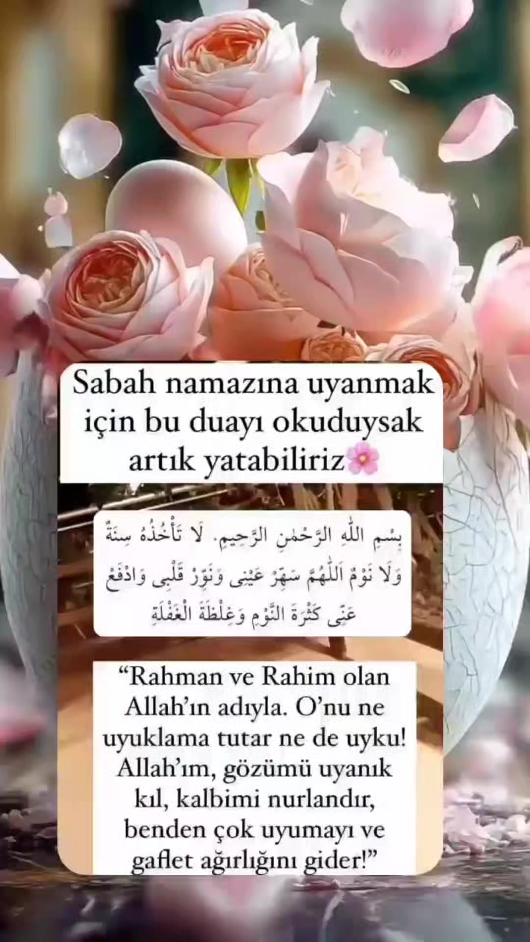 @hayat nereye gidiyor