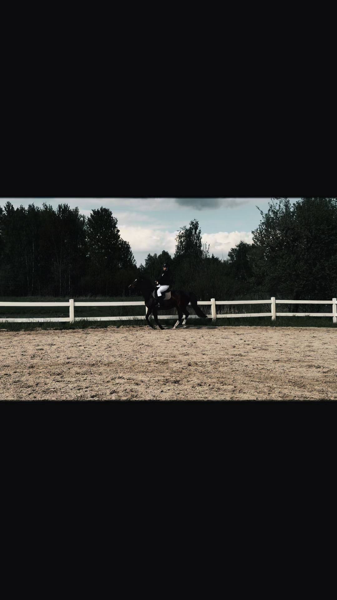 @Acrodance_horses
