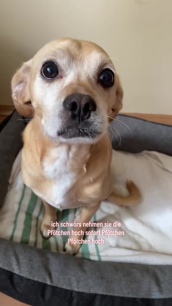 @Mäx