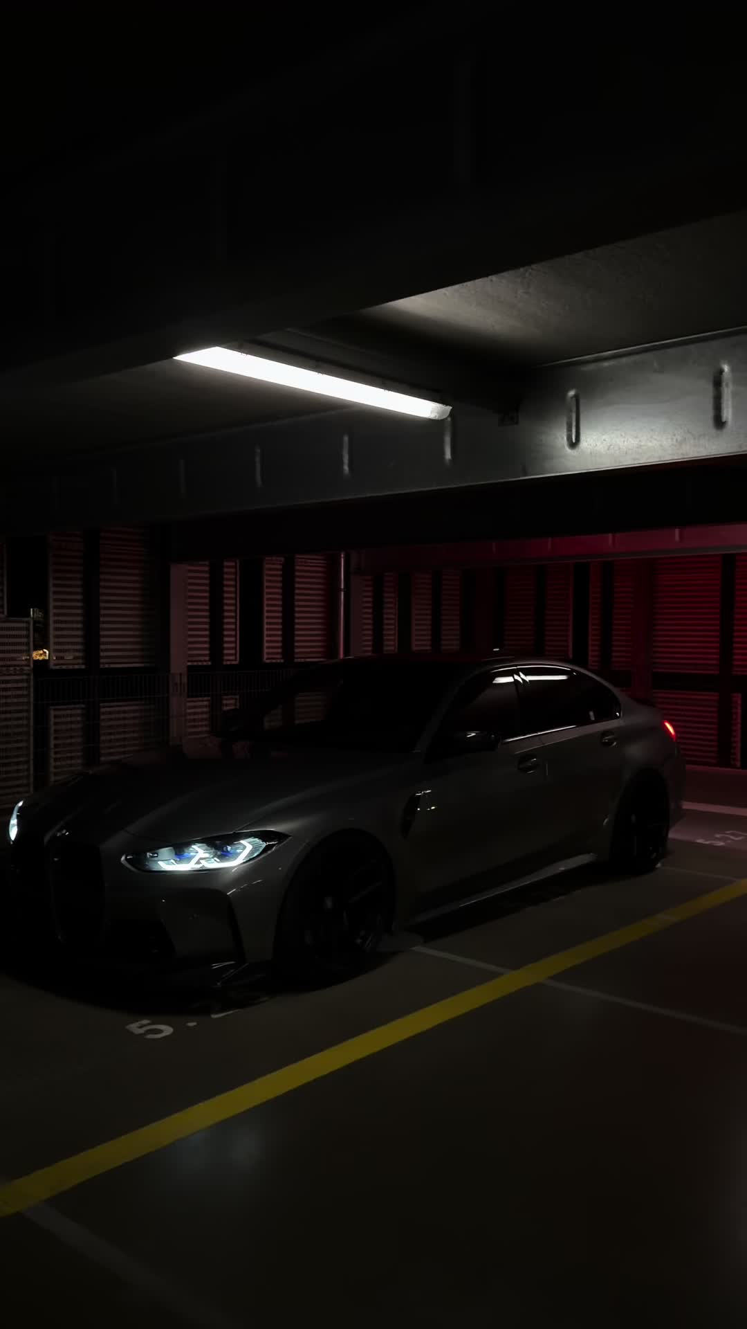 @x56 🦈