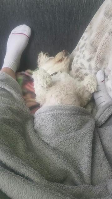 @Antonella 🌶🌶🌶&cher&iacute;🐾🐾🐾