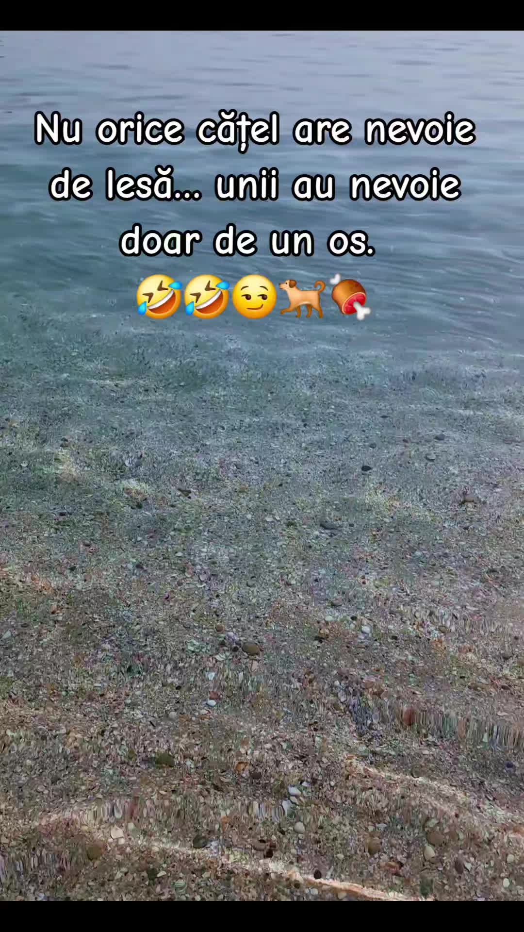 @Giorgïa Nā ♈️