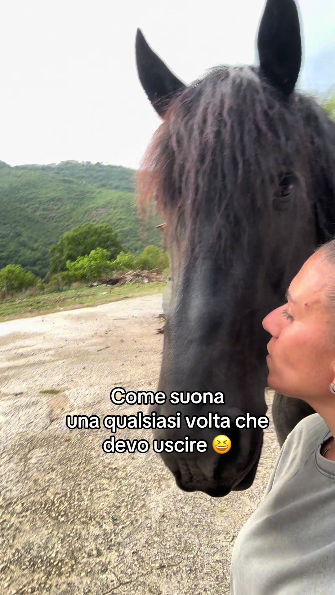 @black_the_friesian