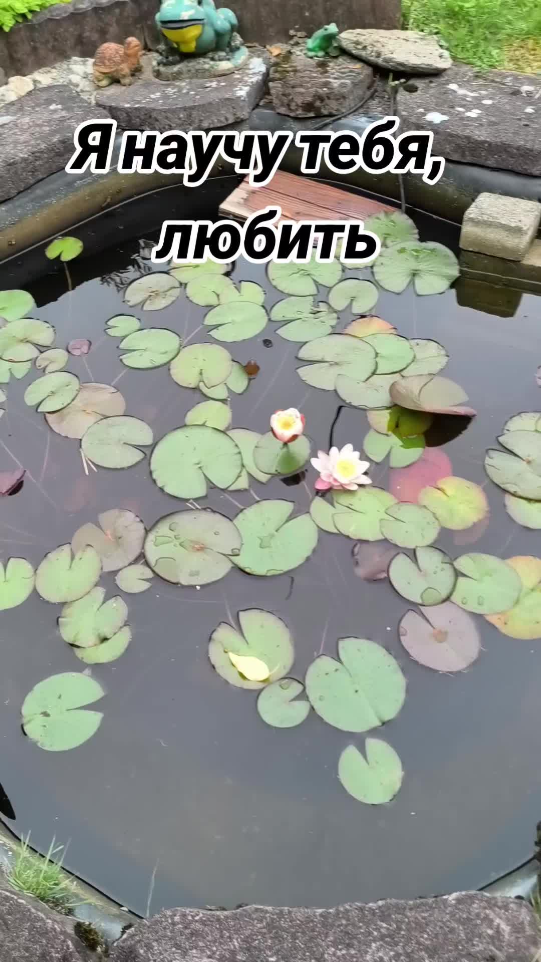 @Вл. Мел. 89