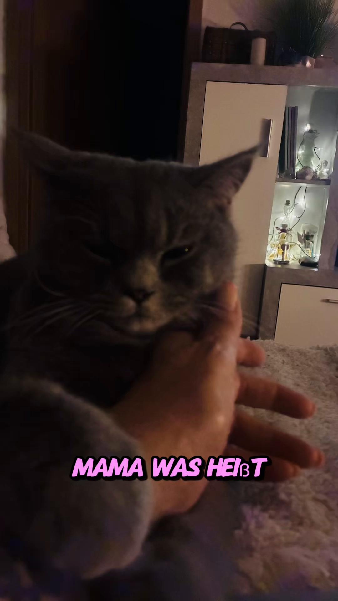 @Kirsten Ihde - Schnarr