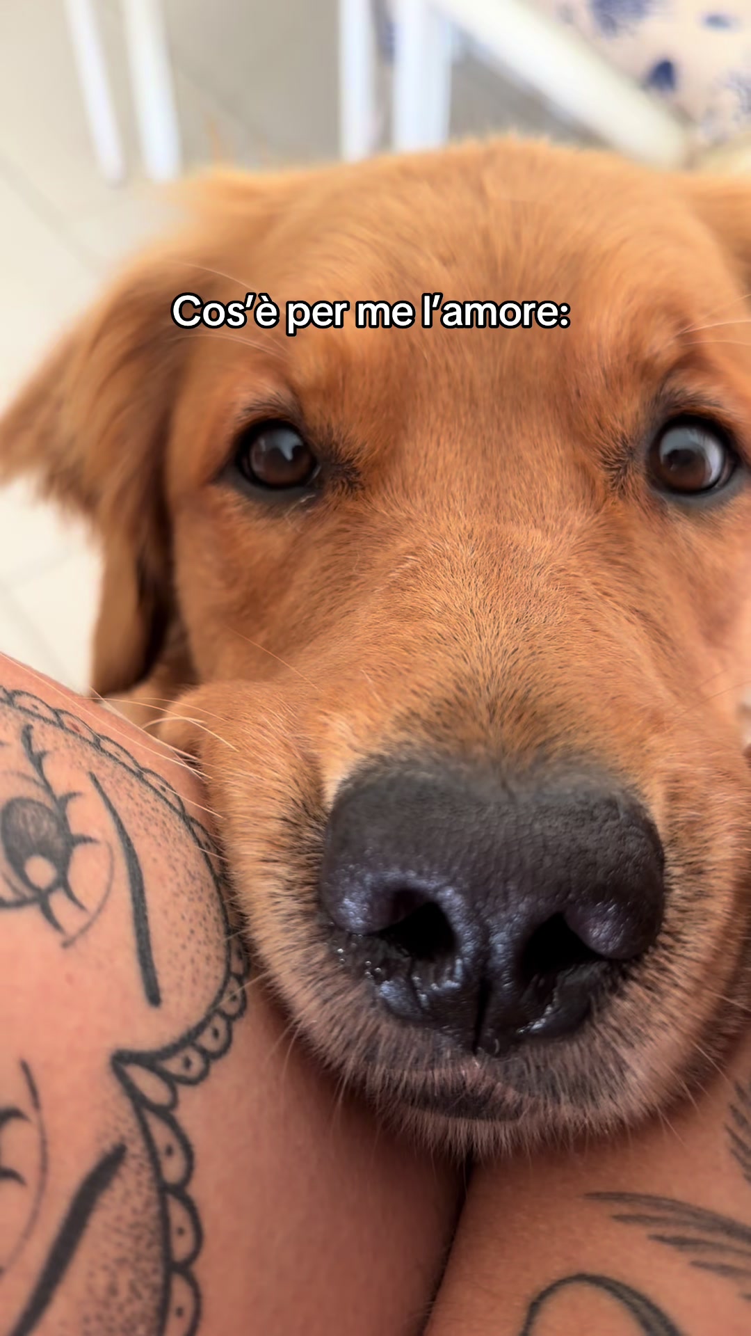 @Caterina Mastaglio