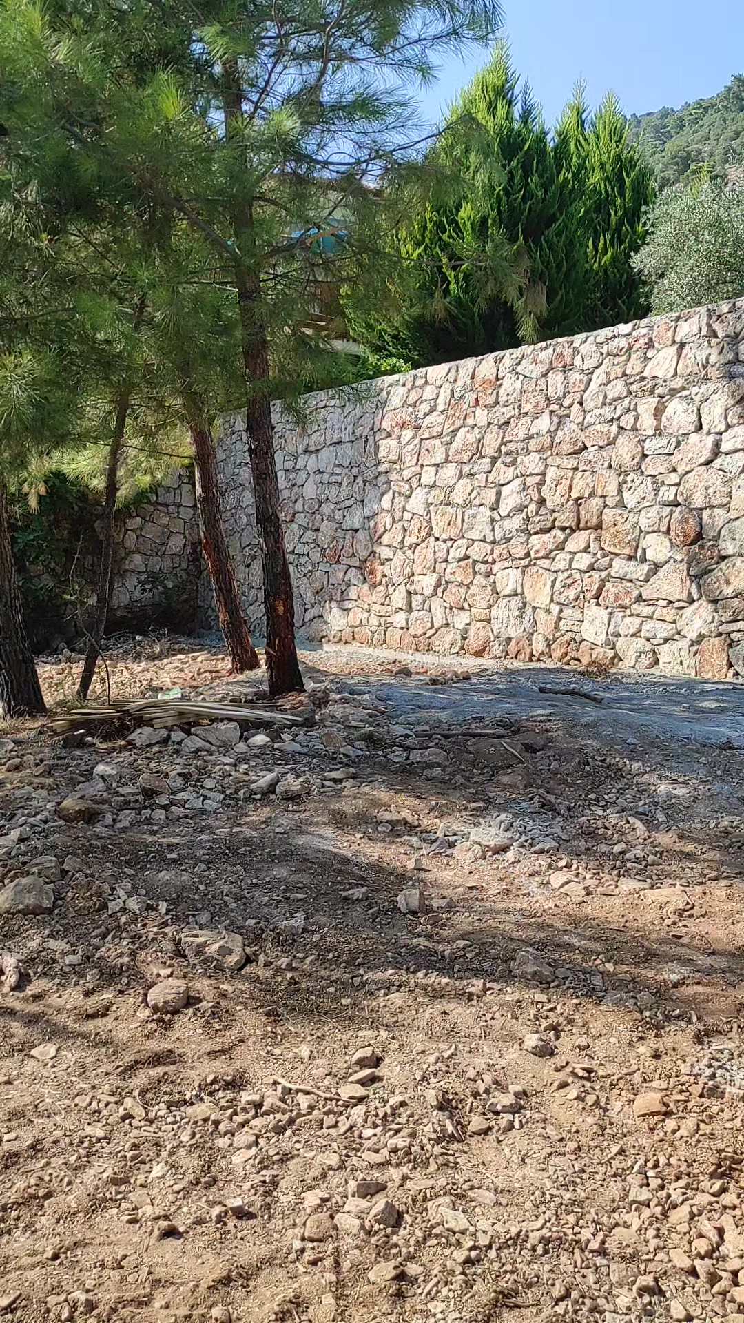 @&Ouml;nder Aksu