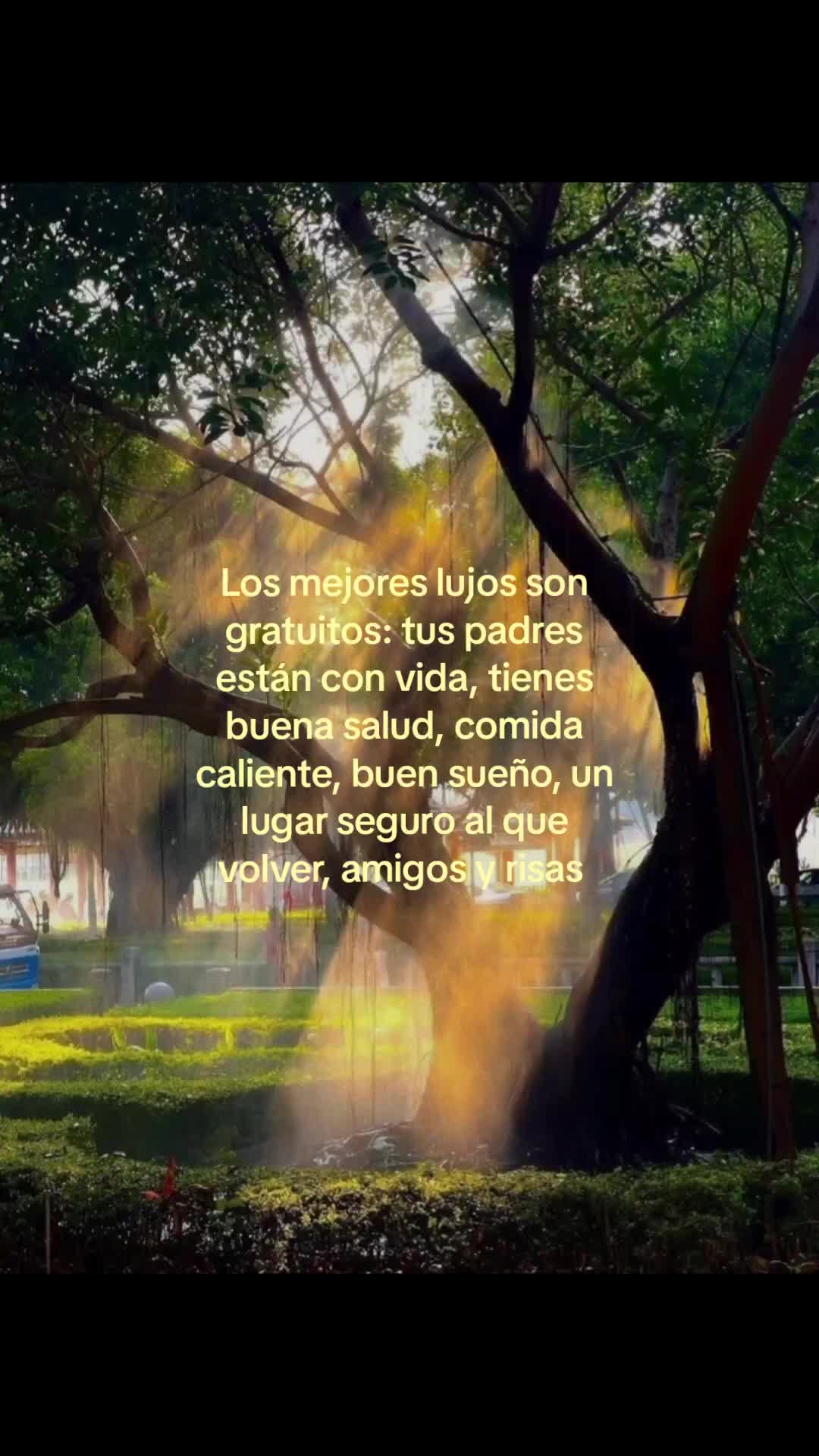 @°Lymar⁷°
