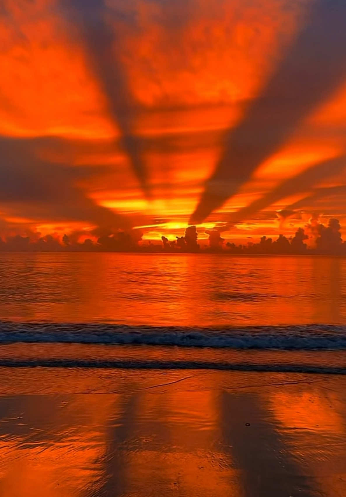 @🌅 Sunset 🌅