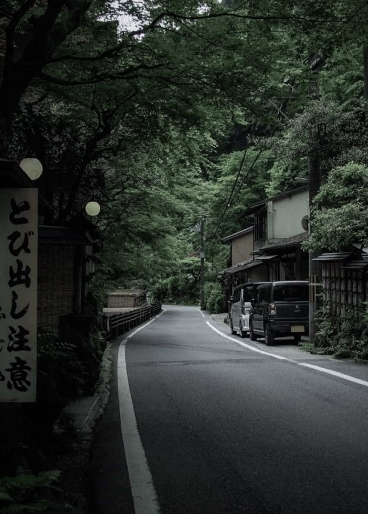 @۶ৎ 🦢🤍 𝐁𝐞𝐨𝐦𝐬𝐞𝐨𝐤 🩶🦢