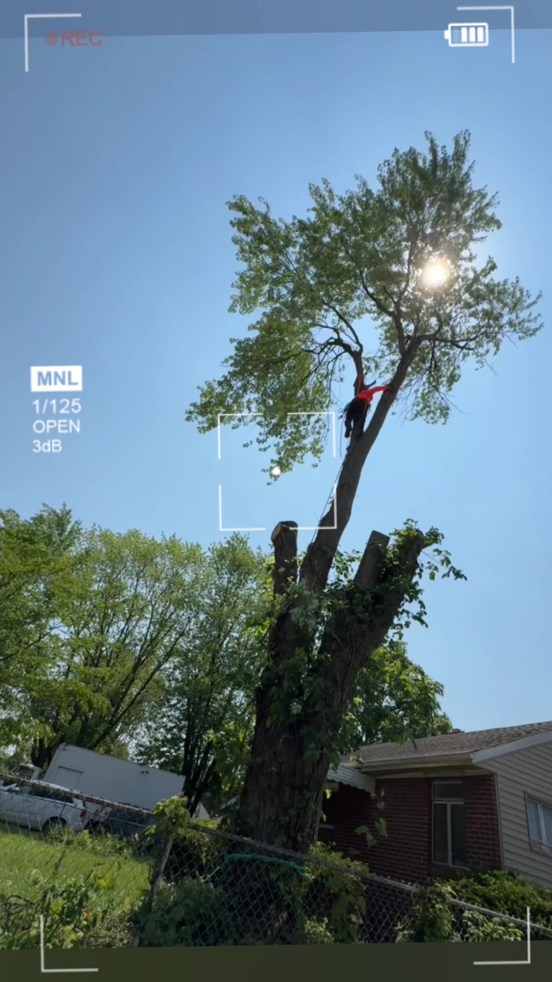@gotreeservices6