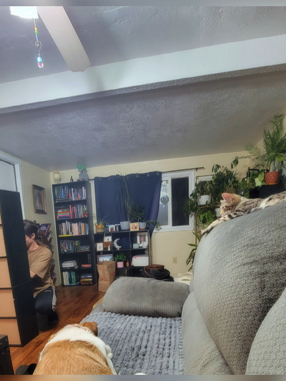 @Wendy 🐶 📚 🎧 ☕️🌲
