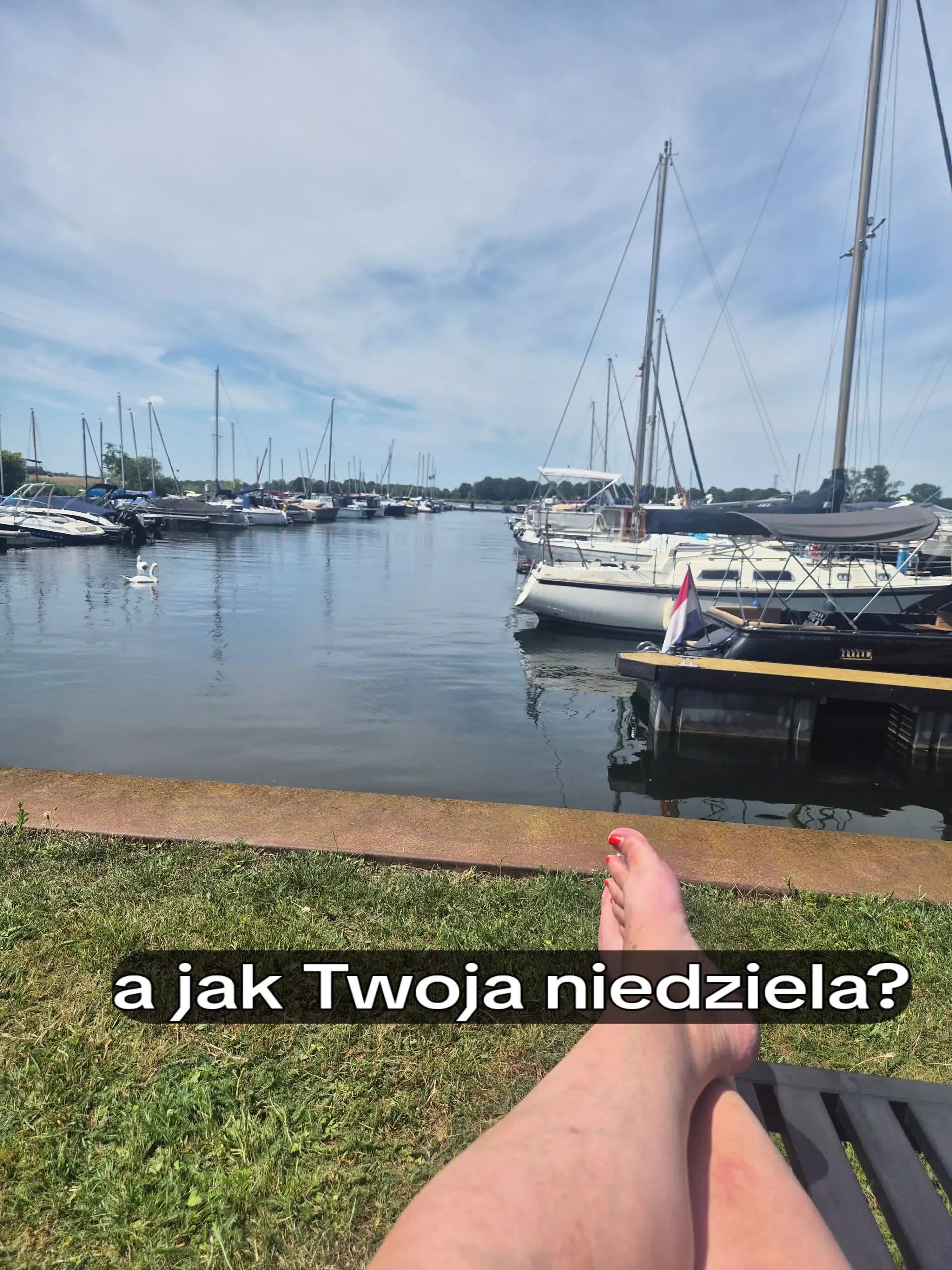 @Śladami Zebry