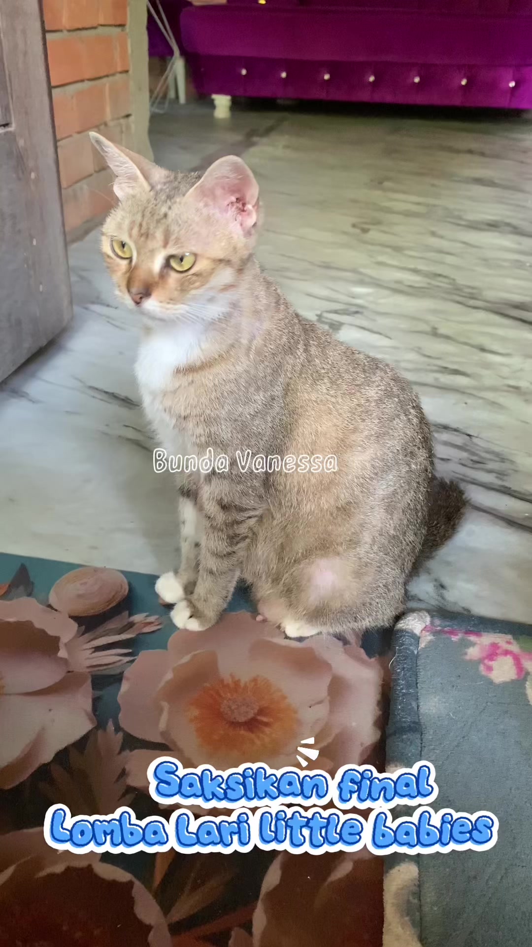 @bundavanessa010193
