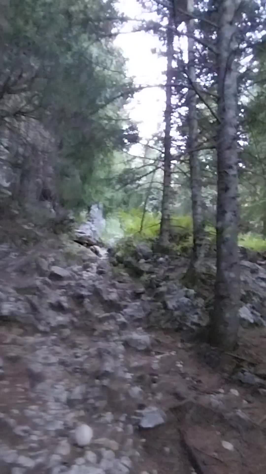 @wolfthebest