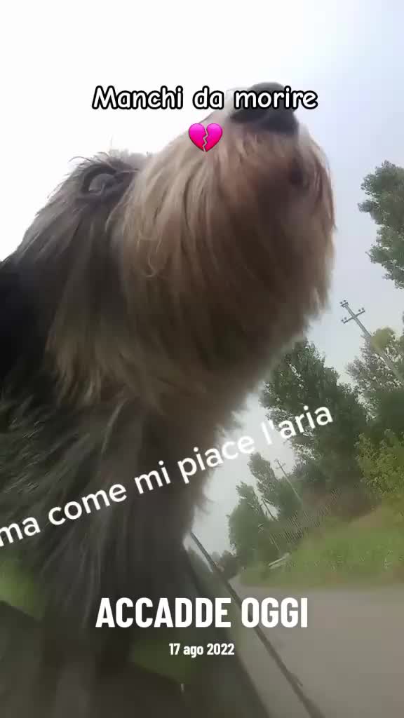 @Tiziana