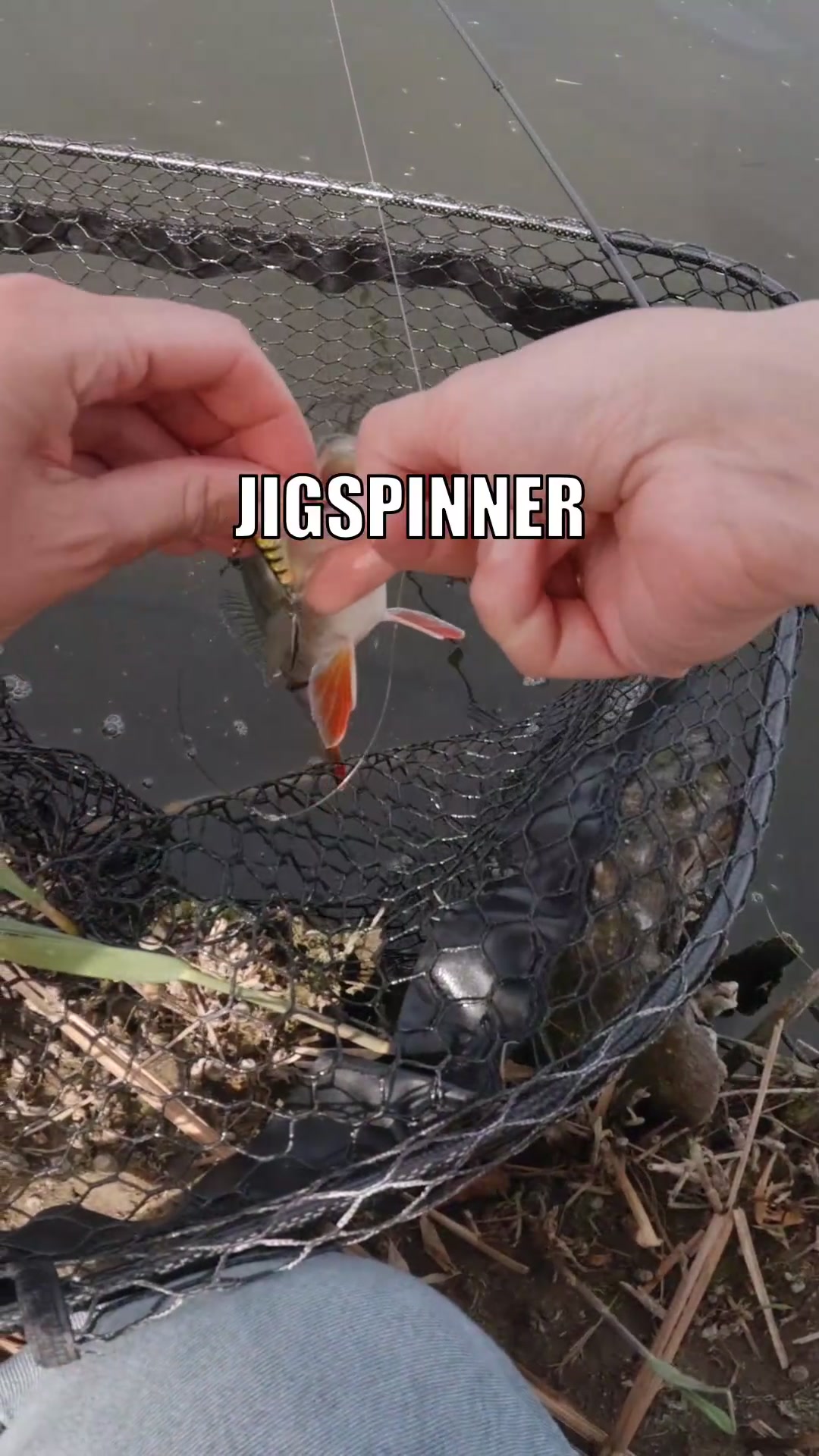 @Fischbulette