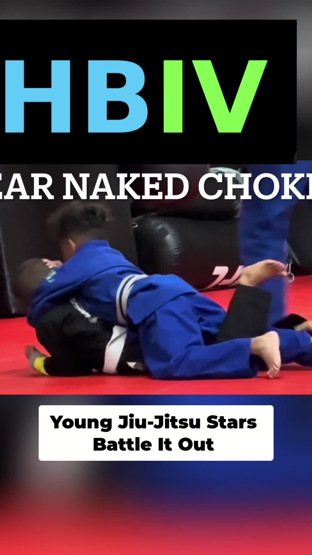 @HBIVthesamurai