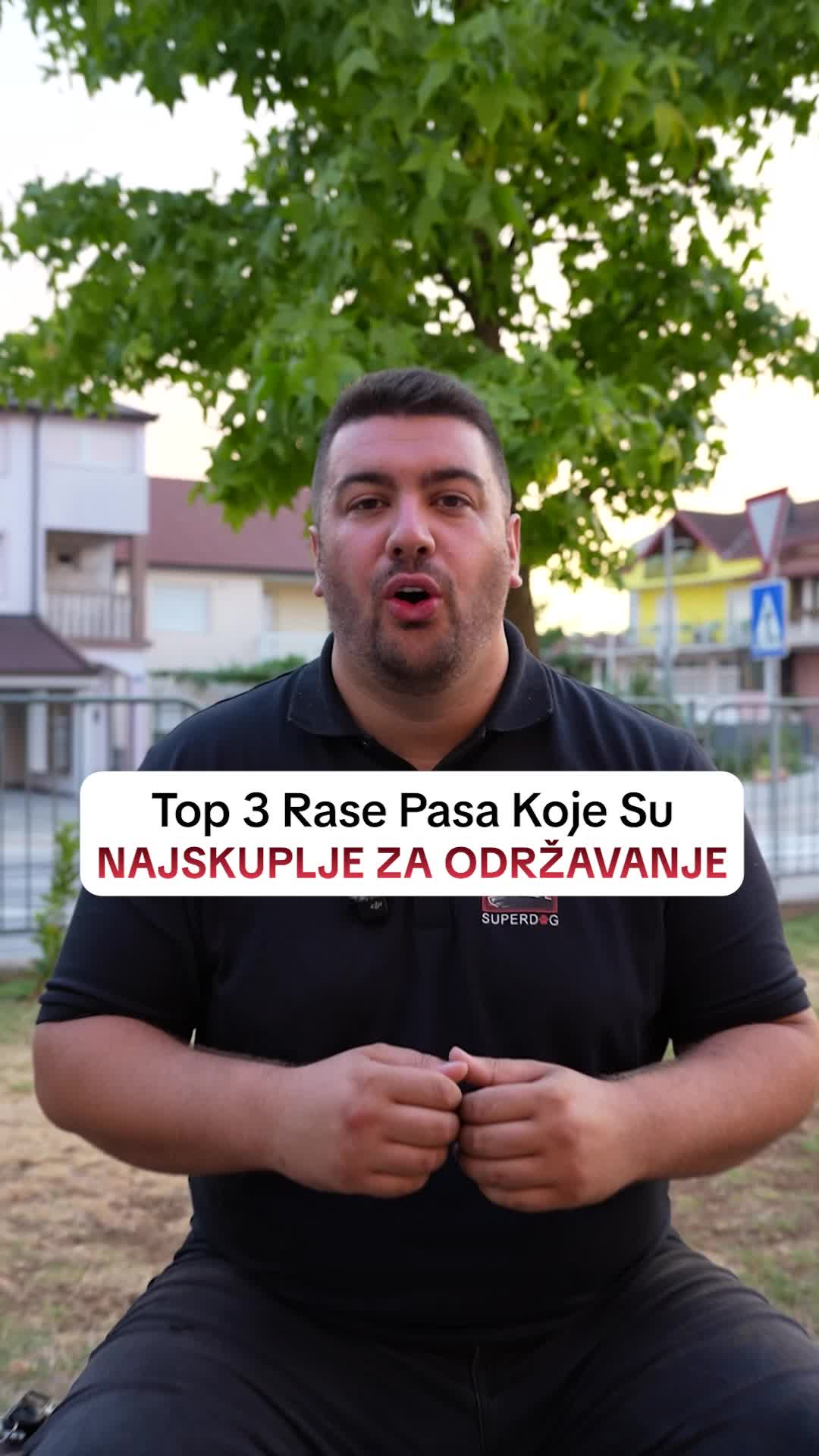 @superdog.akademija